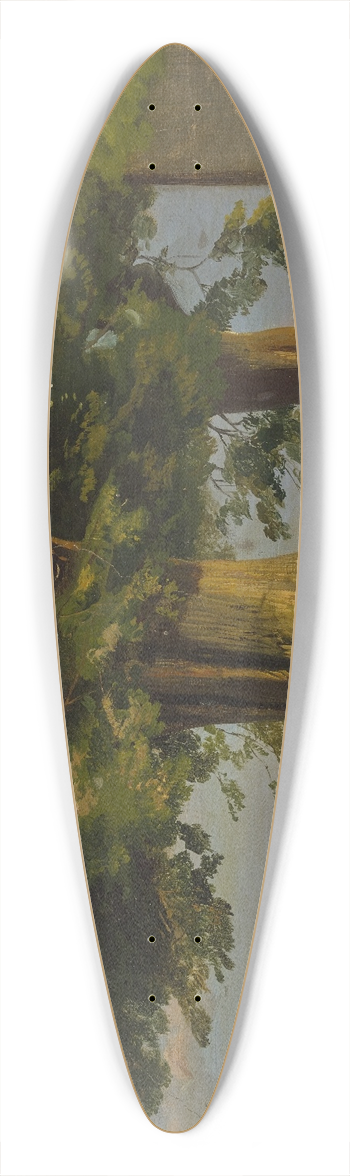 Jakob Becker - Alte Bume und Ausblick auf weite Ebene 39.3 inch art pintail longboard deck