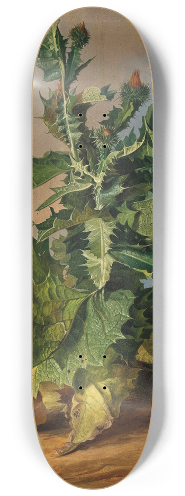 Josef Schuster - Thistles 8.25 inch art skate deck