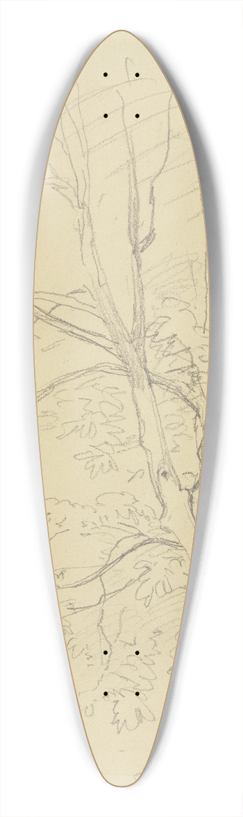Jakob Becker - Tree 39.3 inch art pintail longboard deck