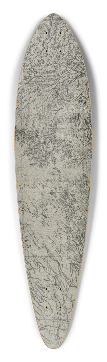 Jakob Maurer - Forest section 2 39.3 inch art pintail longboard deck