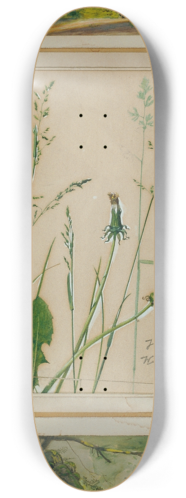 Josef Wawra - Studien nach der Natur 8.25 inch art skate deck