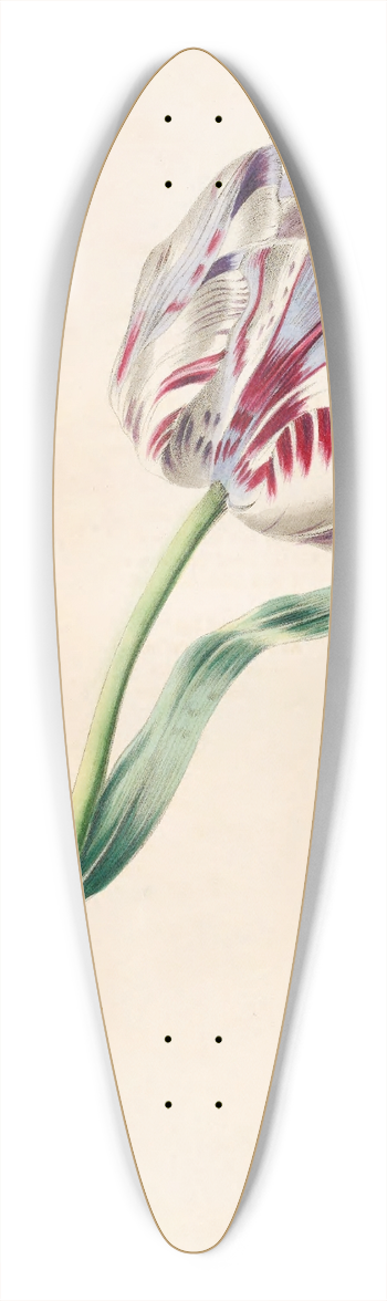James Ackerman - The Tulip 39.3 inch art pintail longboard deck
