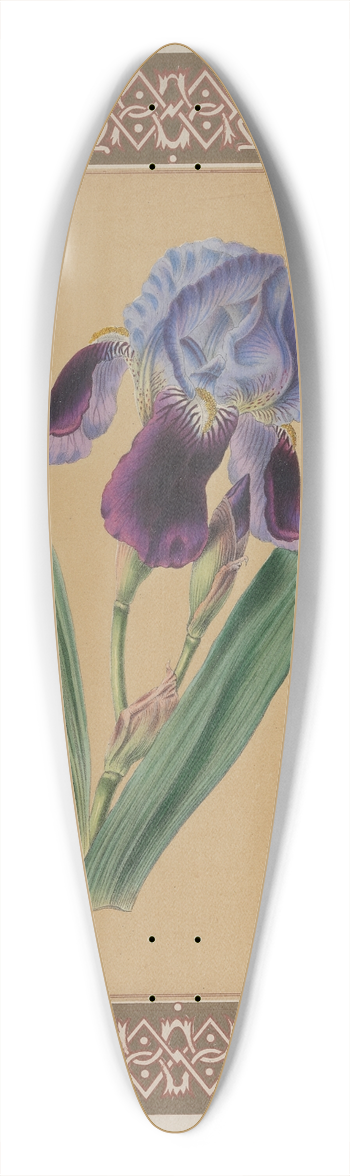 James Andrews - The Iris 39.3 inch art pintail longboard deck