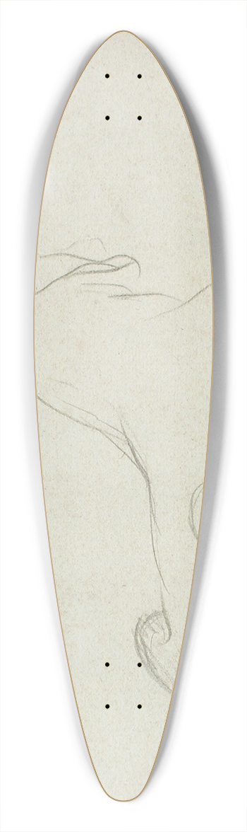 James Barry - Lioness 39.3 inch art pintail longboard deck