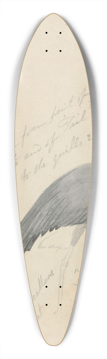 James de Carle Sowerby - A Crane 39.3 inch art pintail longboard deck