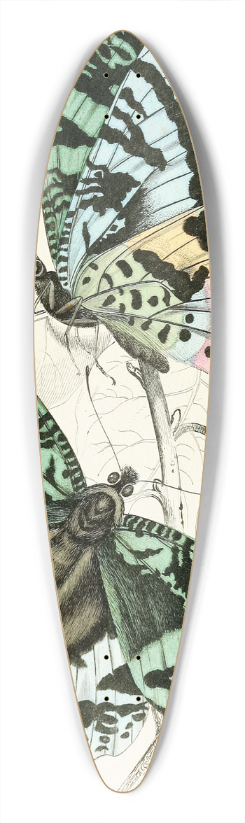 James Duncan - Rhipheus Dasycephalus 39.3 inch art pintail longboard deck