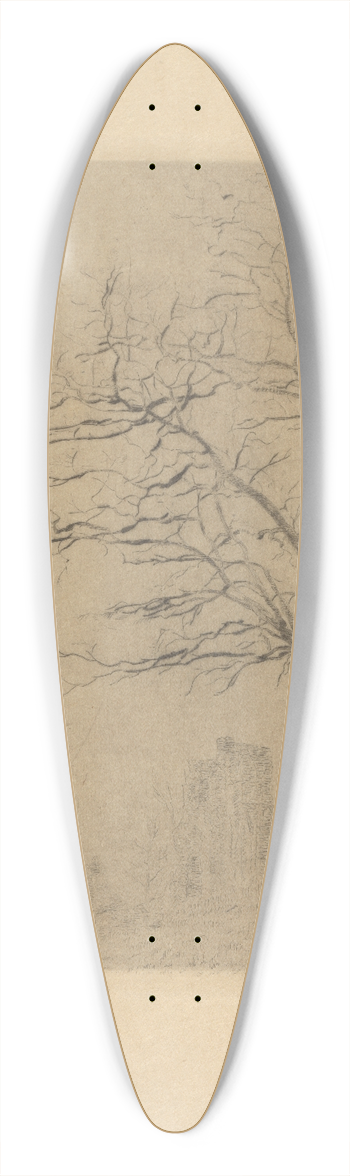James Ensor - Acacia 39.3 inch art pintail longboard deck