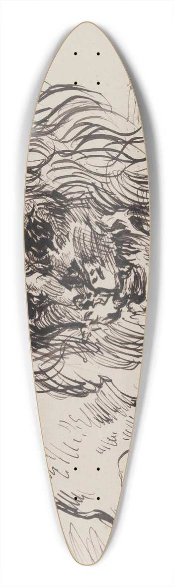 James Ensor - Lion 39.3 inch art pintail longboard deck