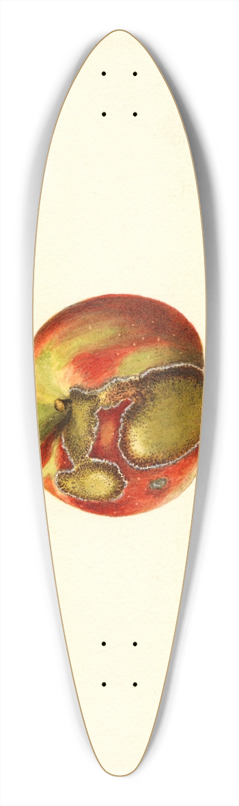 James Marion Shull - Malus domestica 39.3 inch art pintail longboard deck