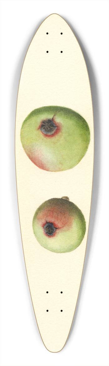 James Marion Shull - Malus domestica: Gano 39.3 inch art pintail longboard deck