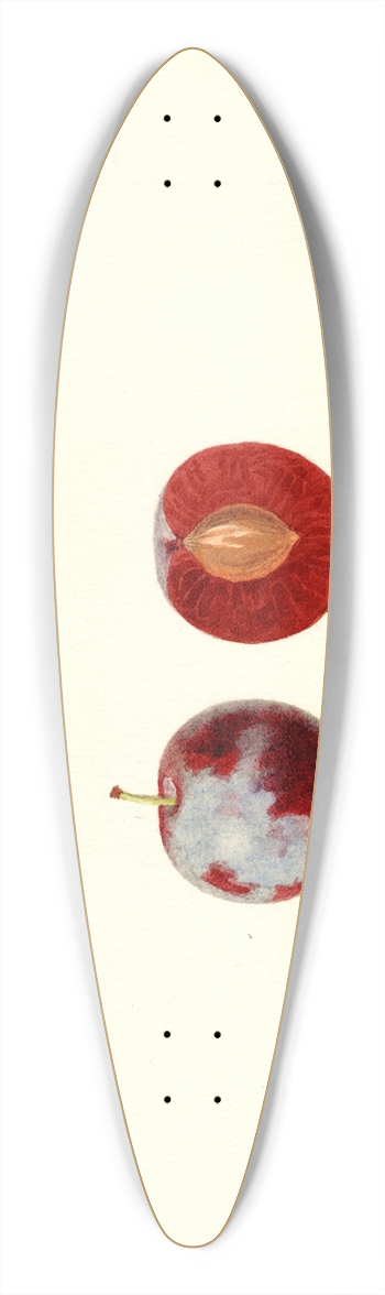 James Marion Shull - Prunus domestica 39.3 inch art pintail longboard deck