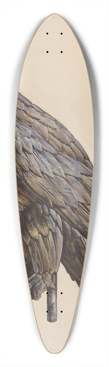 James McLellan - Finial Eagle 39.3 inch art pintail longboard deck