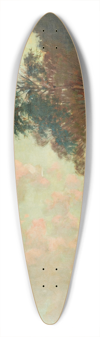 James Nairn - Hutt River 39.3 inch art pintail longboard deck