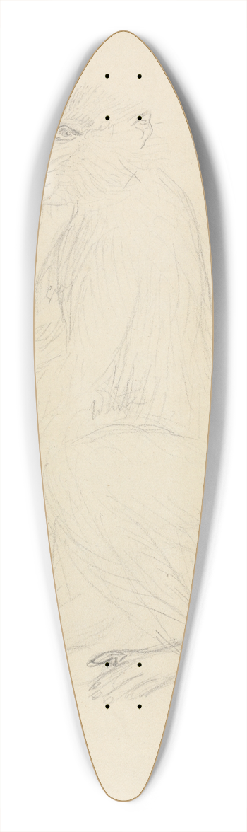 James Sowerby - A Baboon 39.3 inch art pintail longboard deck