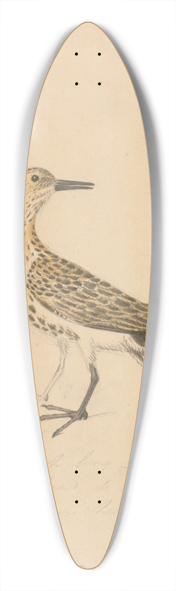 James Sowerby - A Bird 39.3 inch art pintail longboard deck