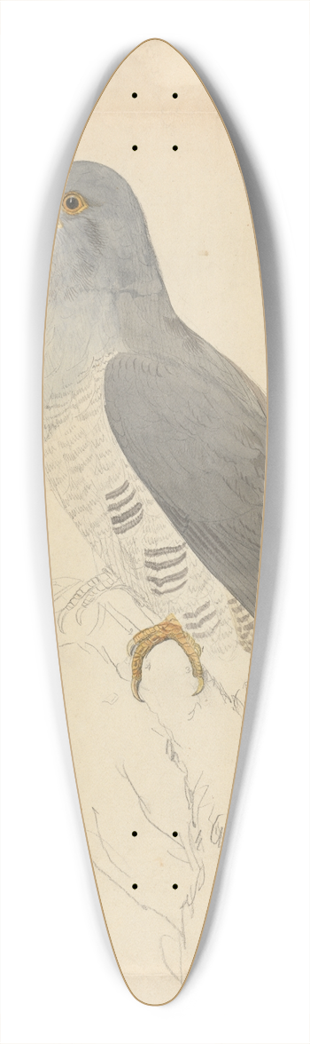 James Sowerby - A Dove 39.3 inch art pintail longboard deck