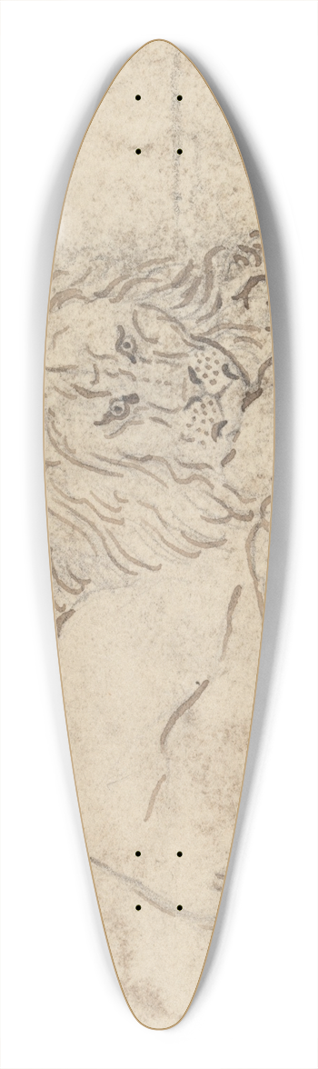 James Sowerby - A Lion 39.3 inch art pintail longboard deck