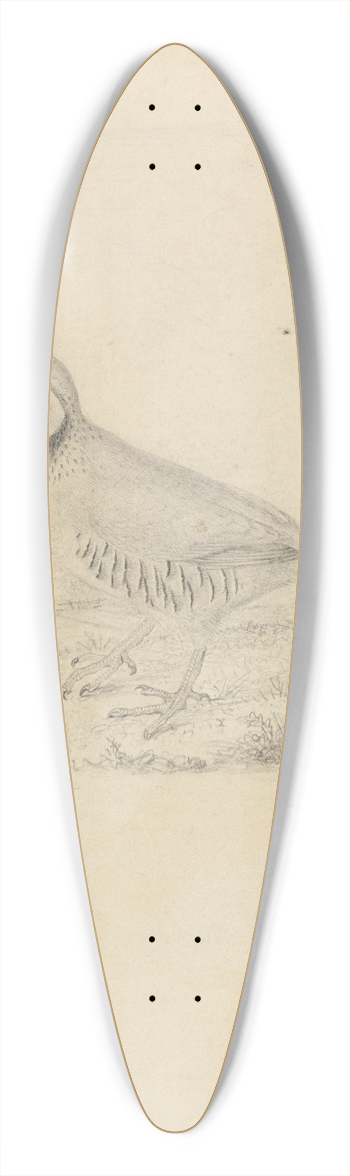 James Sowerby - A Quail 39.3 inch art pintail longboard deck