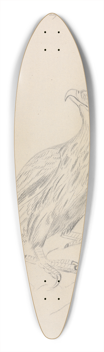 James Sowerby - A Sea Eagle 39.3 inch art pintail longboard deck
