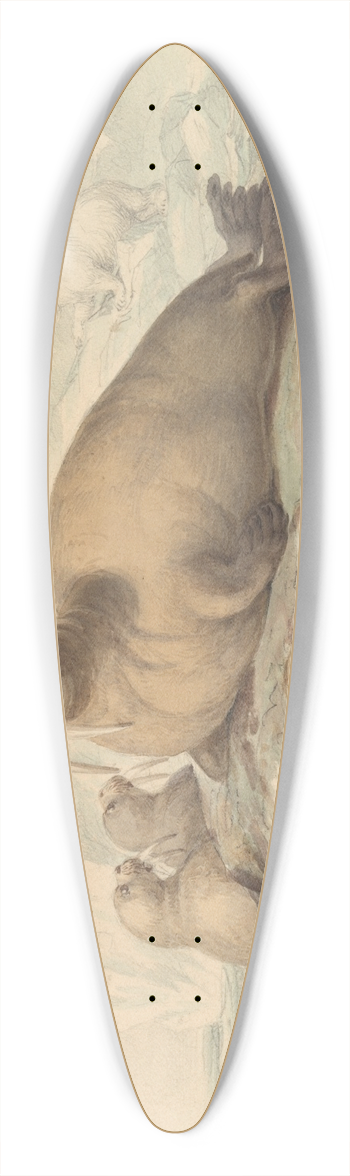 James Stewart - Walruses 39.3 inch art pintail longboard deck