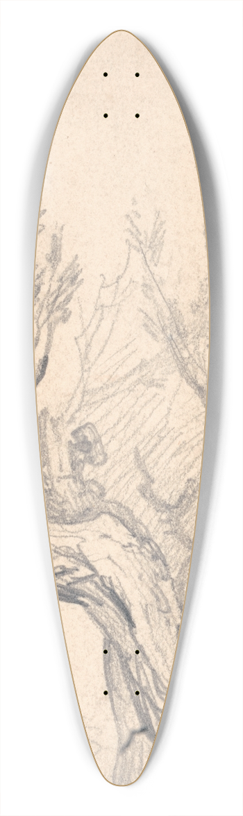 James Ward - A Gnarled Tree 39.3 inch art pintail longboard deck
