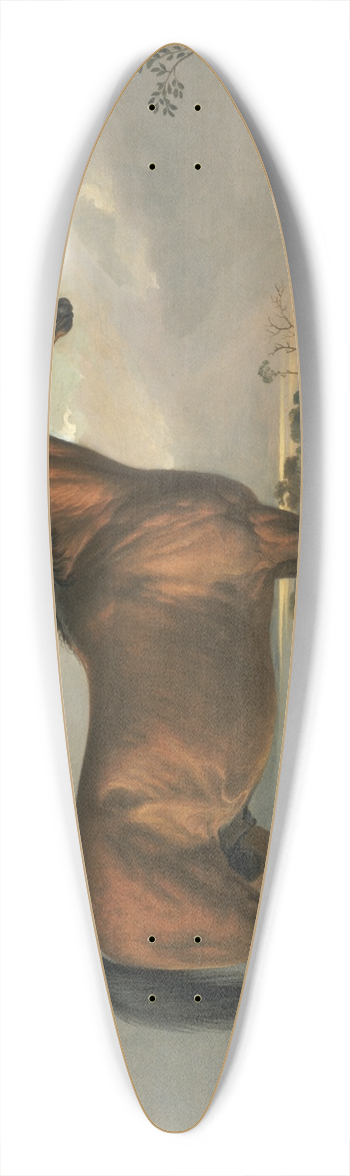 James Ward - Eagle, a Celebrated Stallion 39.3 inch art pintail longboard deck