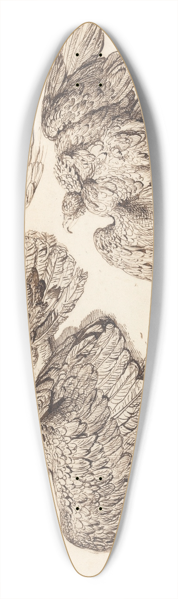 James Ward - Eagles 39.3 inch art pintail longboard deck
