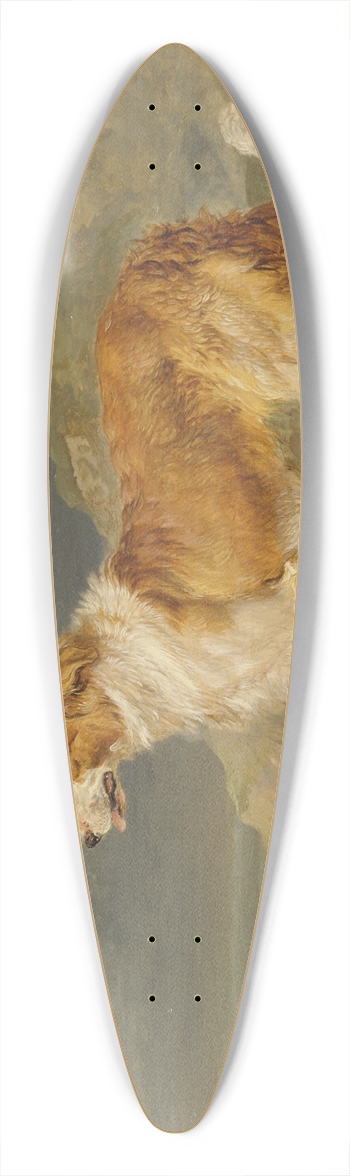 James Ward - Rough-Coated Collie 39.3 inch art pintail longboard deck