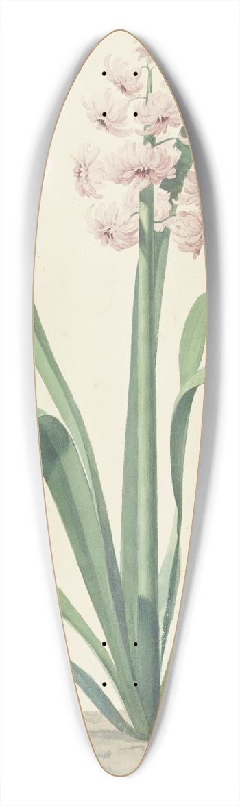 Jan Augustini - De roze hyacint Rex Rubrorum 39.3 inch art pintail longboard deck