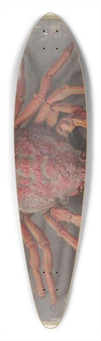 Jan Augustin van der Goes - Krab 39.3 inch art pintail longboard deck