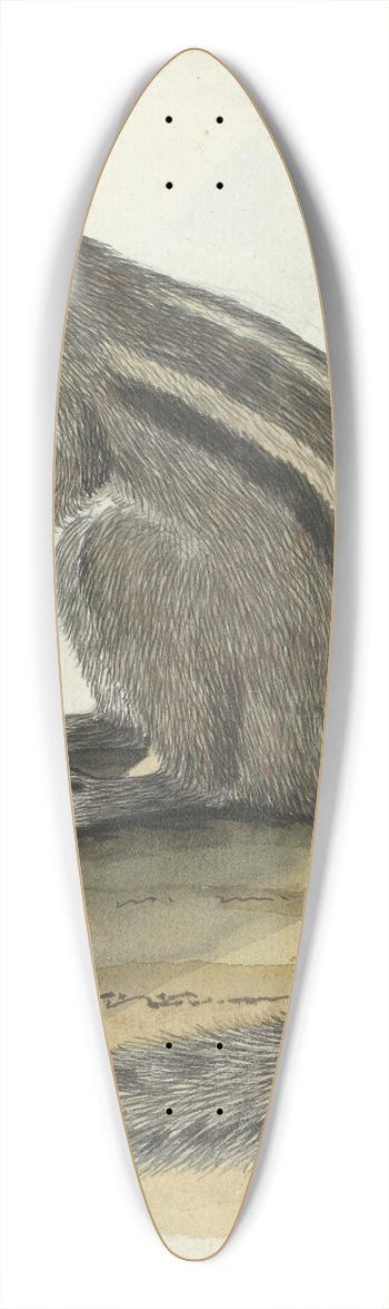Jan Brandes - Ceylons eekhoorntje 39.3 inch art pintail longboard deck