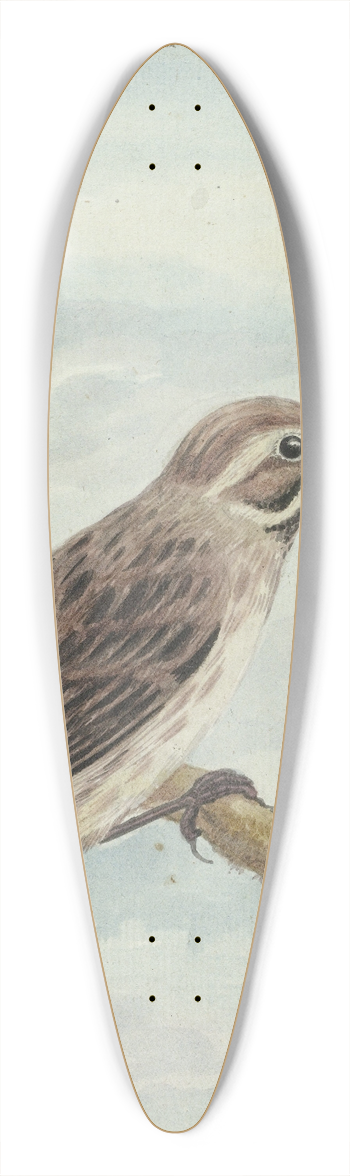 Jan Brandes - Hollandse vogel 39.3 inch art pintail longboard deck