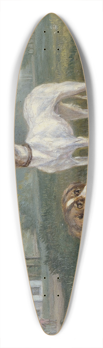 Jan Dasveldt - Two Dogs 39.3 inch art pintail longboard deck