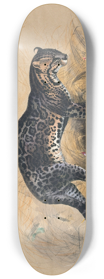 Joseph Wolf - The Painted Ocelot 8.25 inch art skate deck