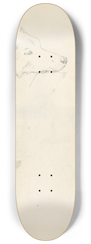 Joseph Wright of Derby - Head of a Dog 8.25 inch art skate deck