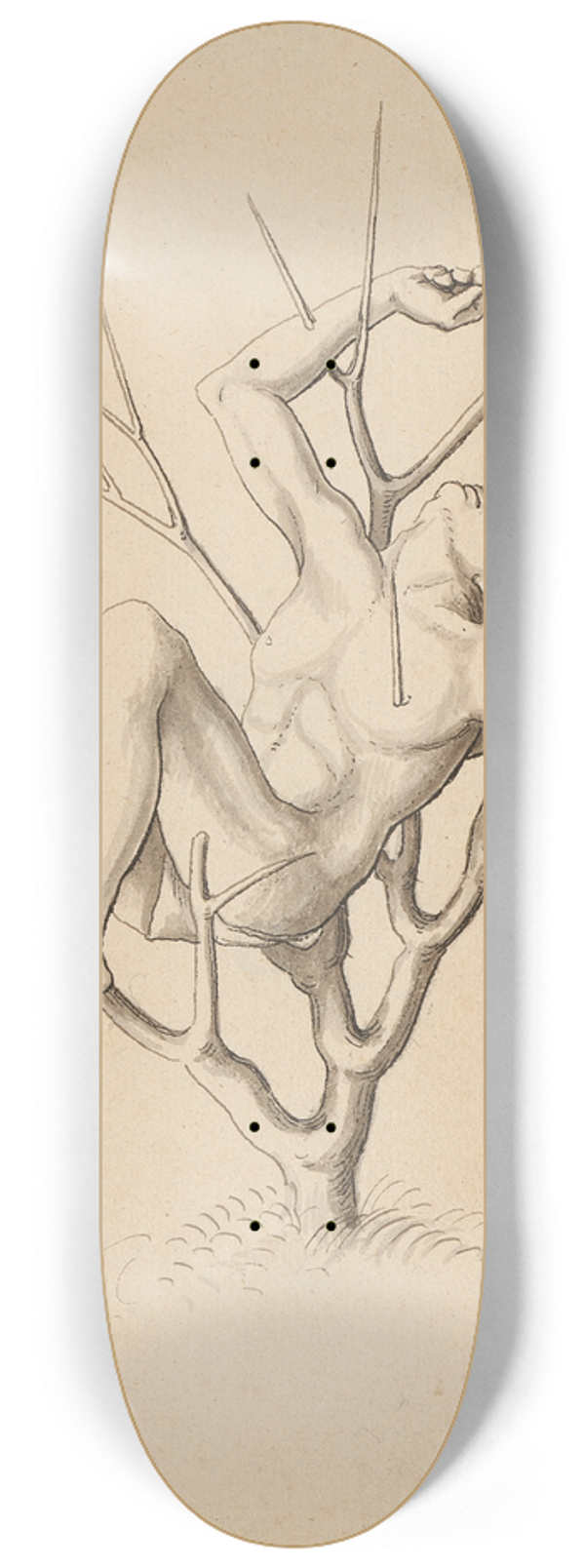 Jrg Schweiger - Mrtyrer, in Dornstrauch aufgespiesst II 8.25 inch art skate deck