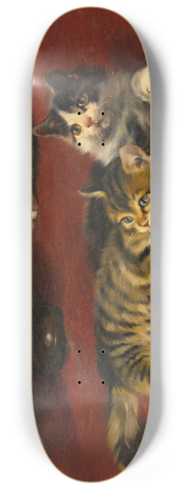 Julius Adam the younger - Kittens 8.25 inch art skate deck
