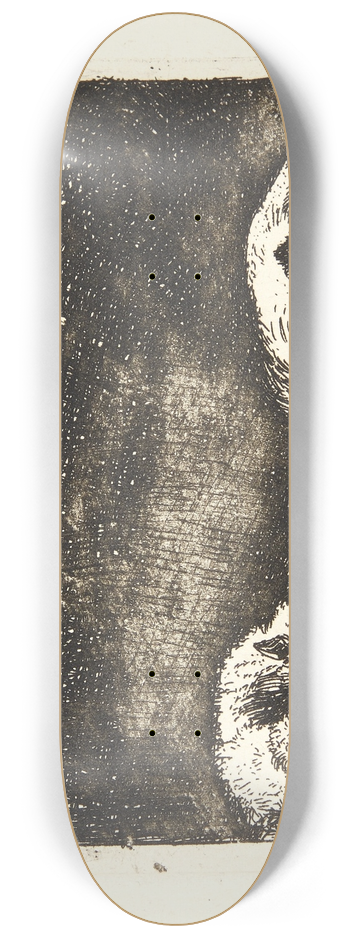 Karel Dujardin - Hunden og katten 8.25 inch art skate deck