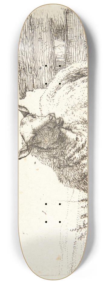 Karel Dujardin - Liggende fr nr et trgrde 8.25 inch art skate deck