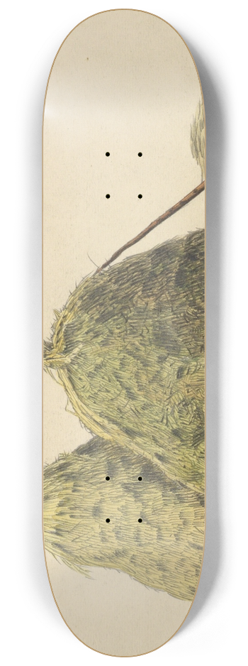 Karl Wiener - Ohne Titel (Strohballen) 8.25 inch art skate deck