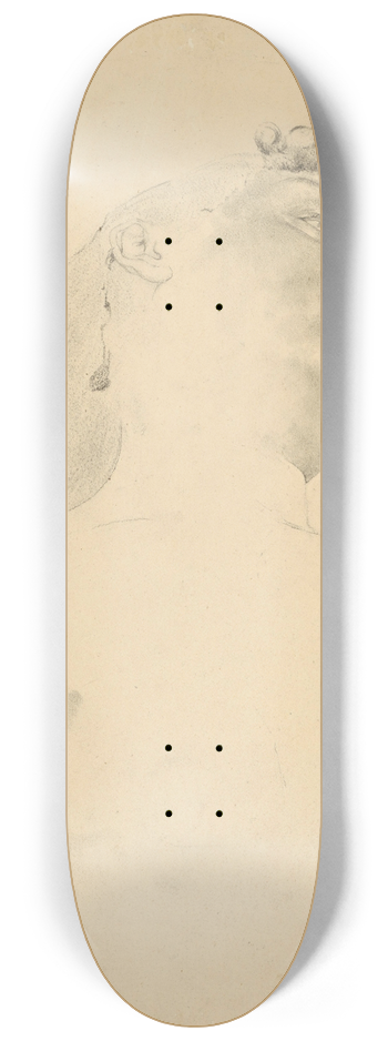 kos Aranyossy - tdia aktu leiacej eny 8.25 inch art skate deck