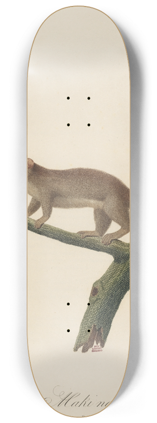 Le Maki nain 8.25 inch art skate deck