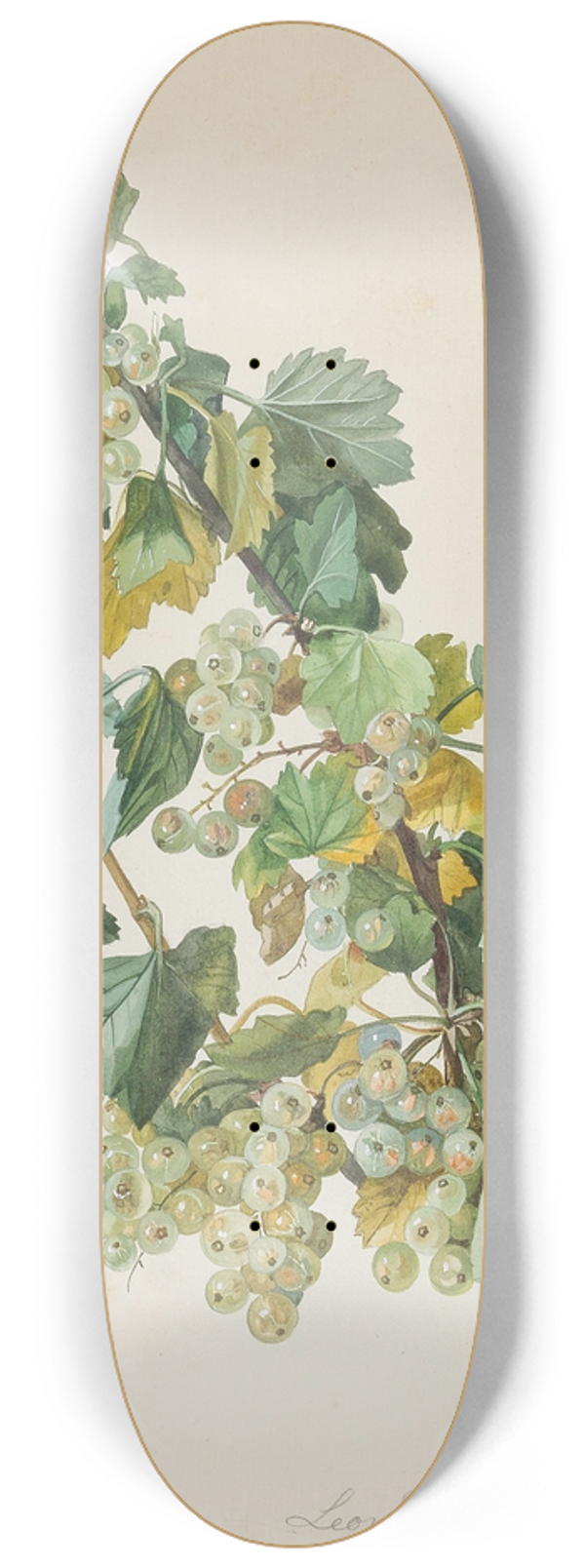 Leopold Zinngger - Grne Ribisel 8.25 inch art skate deck