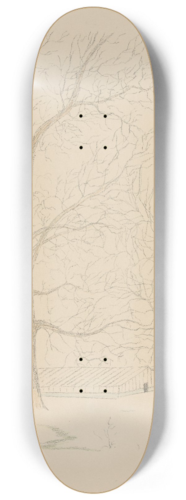 Lon Spilliaert - Les Serres Chaudes 1 8.25 inch art skate deck