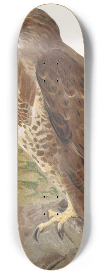 Lo-Paul Robert - Buse 8.25 inch art skate deck