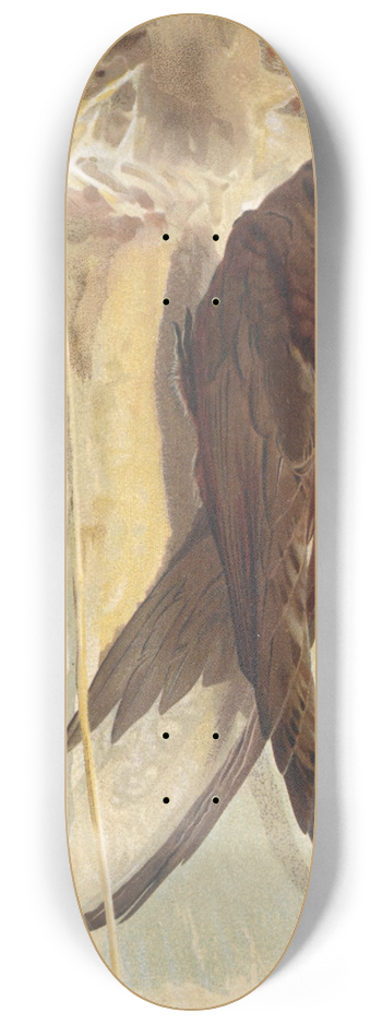 Lo-Paul Robert - Martinet Noir 8.25 inch art skate deck