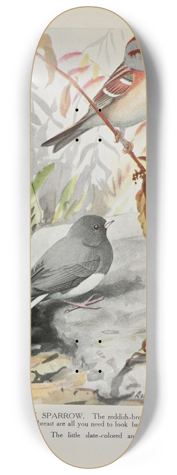 Louis Agassiz Fuertes - Dotty the Tree Sparrow, Slaty the Junco 8.25 inch art skate deck