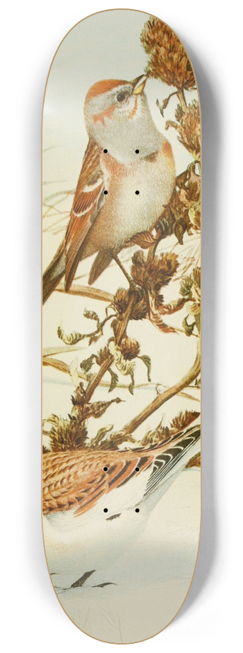 Louis Agassiz Fuertes - Tree Sparrow,Snowflake 8.25 inch art skate deck