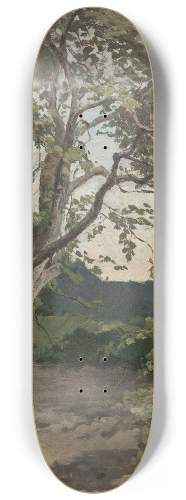 Anna Nordlander - A Tree. Study 8.25 inch art skate deck