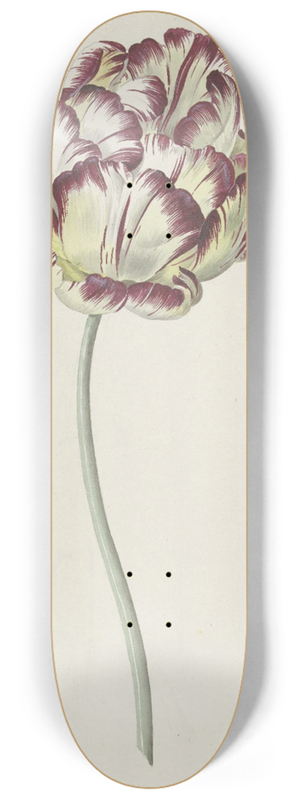 Louis Moritz - Tulp 8.25 inch art skate deck